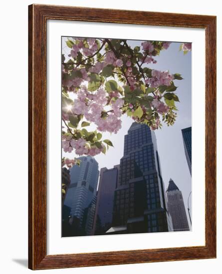 50th Street Looking West to 7th Avenue, New York City, New York-Adam Woolfitt-Framed Photographic Print