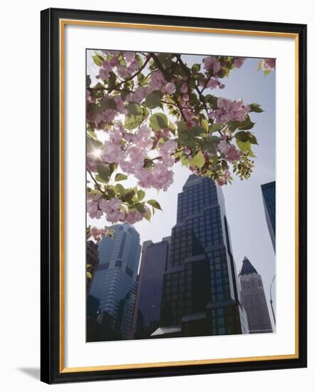 50th Street Looking West to 7th Avenue, New York City, New York-Adam Woolfitt-Framed Photographic Print