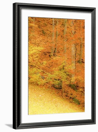 517-Dan Ballard-Framed Photographic Print