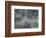 528-Lisa Fertig-Framed Giclee Print