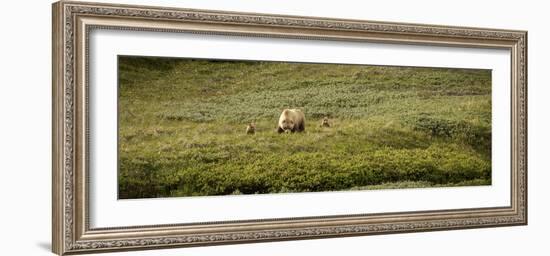 534-Dan Ballard-Framed Photographic Print