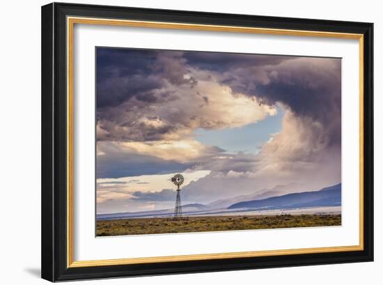 547-Dan Ballard-Framed Photographic Print