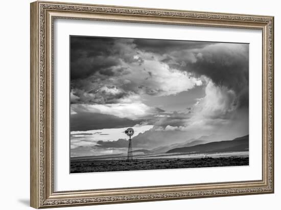 548-Dan Ballard-Framed Photographic Print