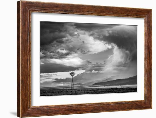 548-Dan Ballard-Framed Photographic Print