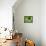 54CO-Pierre Henri Matisse-Framed Premier Image Canvas displayed on a wall