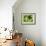 54CO-Pierre Henri Matisse-Framed Giclee Print displayed on a wall