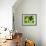 54CO-Pierre Henri Matisse-Framed Giclee Print displayed on a wall