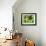 54CO-Pierre Henri Matisse-Framed Giclee Print displayed on a wall