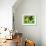 54CO-Pierre Henri Matisse-Framed Giclee Print displayed on a wall