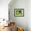 54CO-Pierre Henri Matisse-Framed Giclee Print displayed on a wall