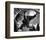 55 Days at Peking-null-Framed Photographic Print