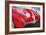 '57 Corvette-Graham Reynolds-Framed Art Print