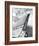 ‘57 Fin-Richard James-Framed Art Print