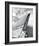 ‘57 Fin-Richard James-Framed Art Print