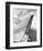 ‘57 Fin-Richard James-Framed Giclee Print