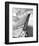 '57 Fin-Richard James-Framed Art Print