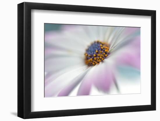 5761_Blooming-Heidi Westum-Framed Photographic Print