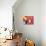 57CO-Pierre Henri Matisse-Giclee Print displayed on a wall