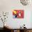 57CO-Pierre Henri Matisse-Giclee Print displayed on a wall