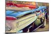 '58 Ford Edsel-Graham Reynolds-Mounted Art Print