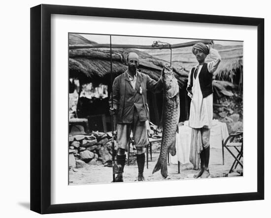 59 lb Mahseer, Caught by Capt. H. B. D. Campbell, R.E., in the Upper Ganges, c1903, (1903)-null-Framed Photographic Print