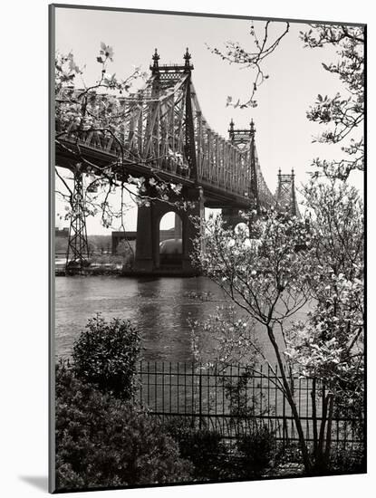 59Th Street Bridge-Chris Bliss-Mounted Photographic Print