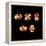 5d Electron Orbitals-Dr. Mark J.-Framed Premier Image Canvas