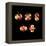 5d Electron Orbitals-Dr. Mark J.-Framed Premier Image Canvas