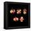 5d Electron Orbitals-Dr. Mark J.-Framed Premier Image Canvas