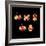 5d Electron Orbitals-Dr. Mark J.-Framed Premium Photographic Print