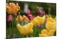 Premium Giclee Print