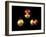 5p Electron Orbitals-Dr. Mark J.-Framed Photographic Print