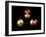 5p Electron Orbitals-Dr. Mark J.-Framed Photographic Print