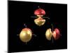 5p Electron Orbitals-Dr. Mark J.-Mounted Photographic Print