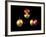 5p Electron Orbitals-Dr. Mark J.-Framed Photographic Print