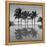 6 Palmeras-Moises Levy-Framed Stretched Canvas