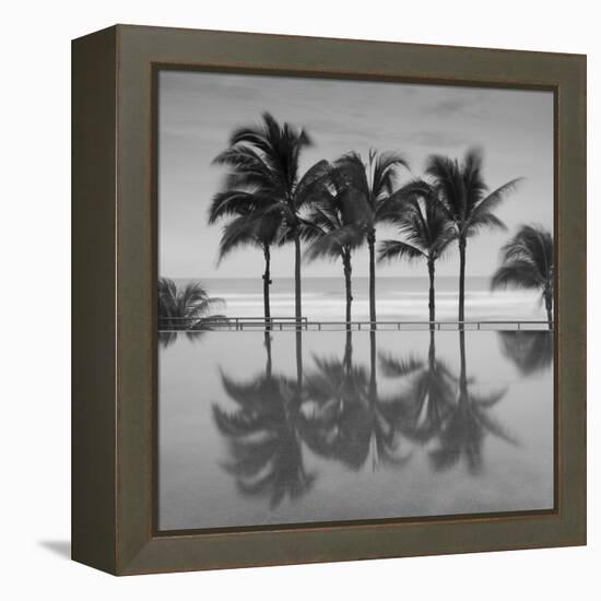 6 Palmeras-Moises Levy-Framed Stretched Canvas