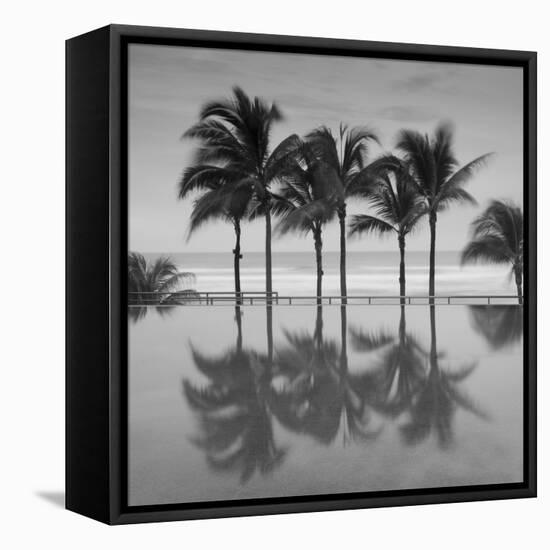 6 Palmeras-Moises Levy-Framed Stretched Canvas