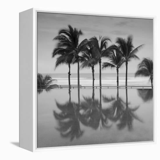 6 Palmeras-Moises Levy-Framed Stretched Canvas