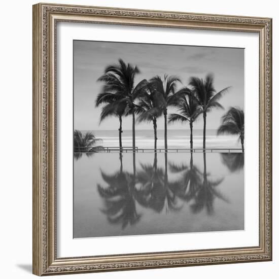 6 Palmeras-Moises Levy-Framed Photographic Print