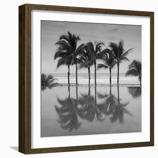 6 Palmeras-Moises Levy-Framed Photographic Print