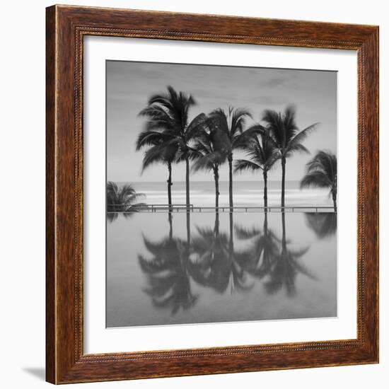 6 Palmeras-Moises Levy-Framed Photographic Print
