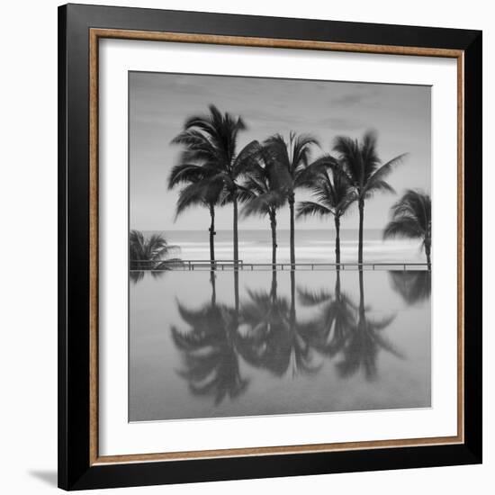 6 Palmeras-Moises Levy-Framed Photographic Print