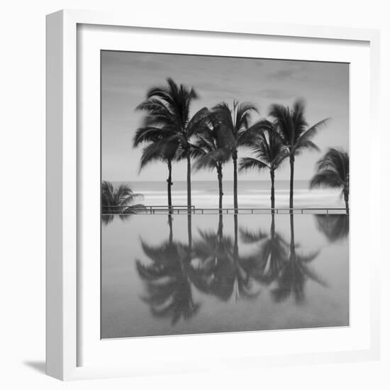 6 Palmeras-Moises Levy-Framed Photographic Print