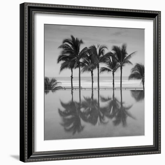 6 Palmeras-Moises Levy-Framed Photographic Print