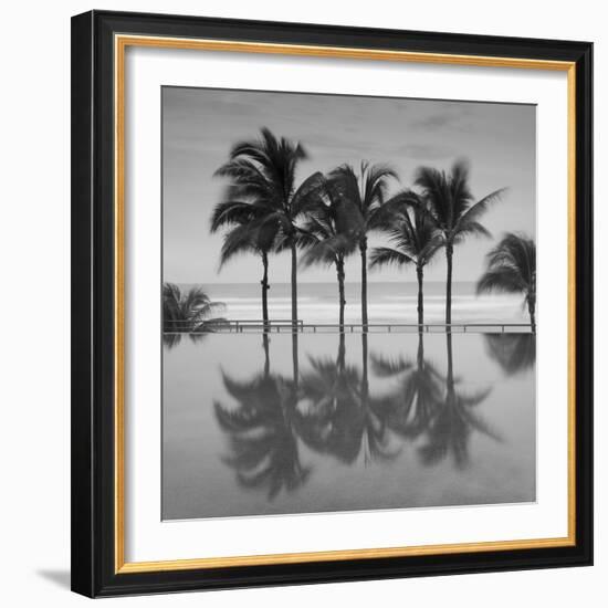 6 Palmeras-Moises Levy-Framed Photographic Print