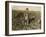 6 Year Old Jo Pulling Sugar Beets on a Farm Near Sterling, Colorado, 1915-Lewis Wickes Hine-Framed Giclee Print