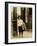 6 Year Old Newsboy-Lewis Wickes Hine-Framed Photographic Print