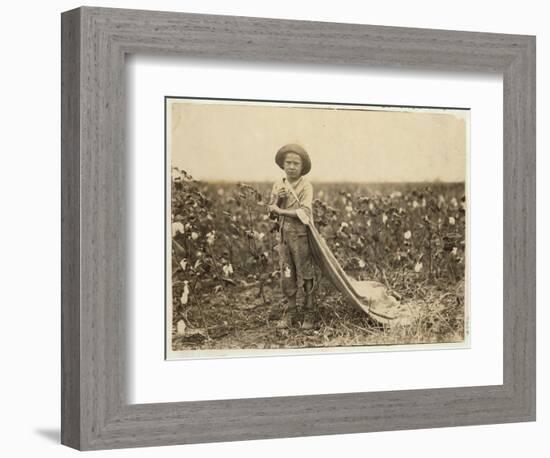 6-Year Old Warren Frakes with About 20 Pounds of Cotton in His Bag at Comanche County-Lewis Wickes Hine-Framed Photographic Print