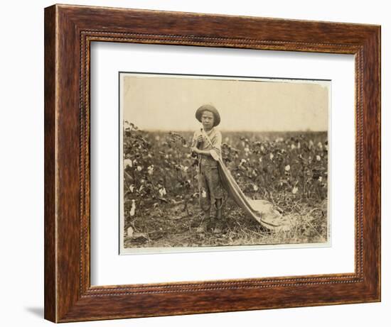 6-Year Old Warren Frakes with About 20 Pounds of Cotton in His Bag at Comanche County-Lewis Wickes Hine-Framed Photographic Print